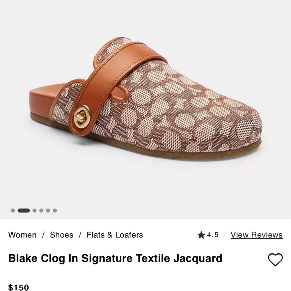 Coach Blake Clog in Brown and Tan